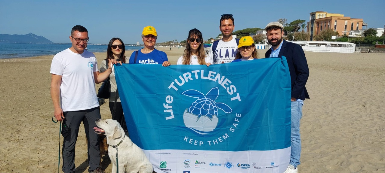 Nido tartaruga caretta caretta rinvenuto a Terracina