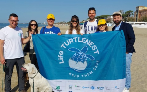 Nido tartaruga caretta caretta rinvenuto a Terracina
