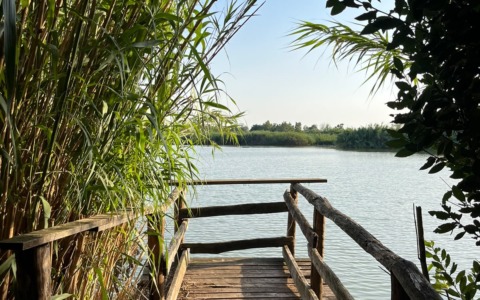 Goletta dei Laghi, il Lago di Fondi è fortemente inquinato