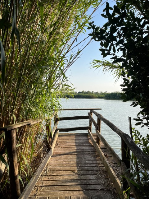Goletta dei Laghi, il Lago di Fondi è fortemente inquinato