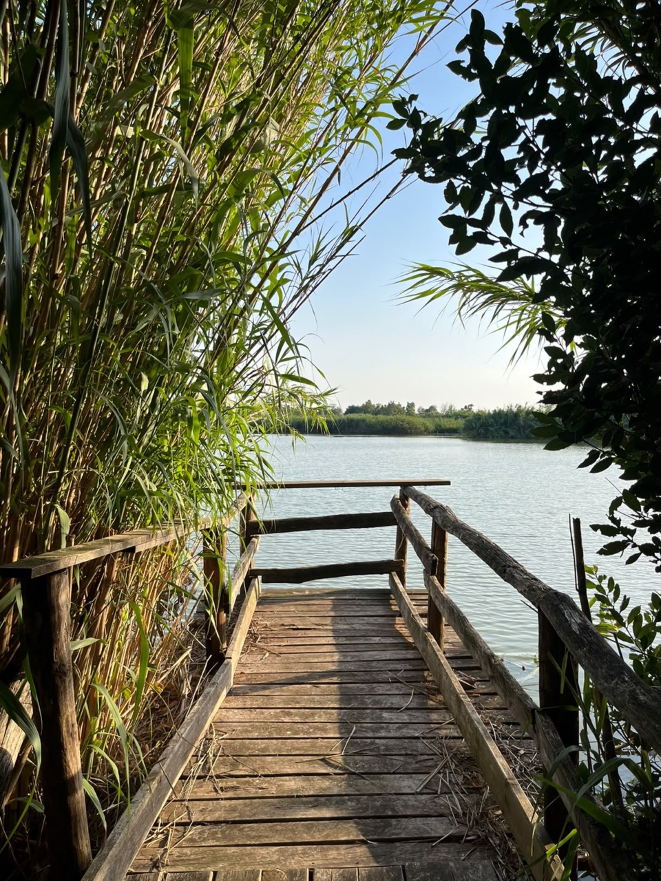 Goletta dei Laghi, il Lago di Fondi è fortemente inquinato