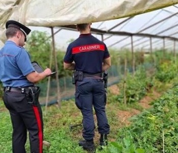 Esternalizzazione illecita di manodopera, denunciati tre imprenditori agricoli