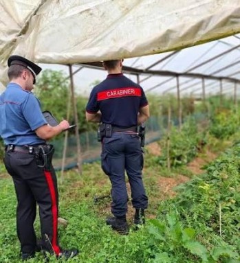 Esternalizzazione illecita di manodopera, denunciati tre imprenditori agricoli