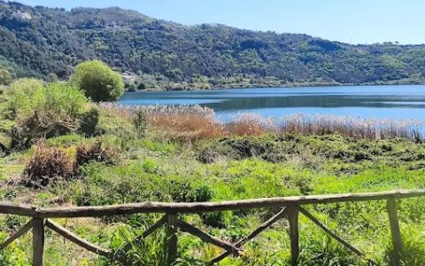 Cade da un albero sulla riva del lago: grave una 37enne di Cisterna