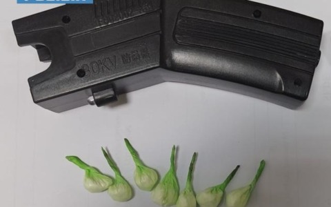 In giro con taser e droga, denunciato un 21 enne rumeno