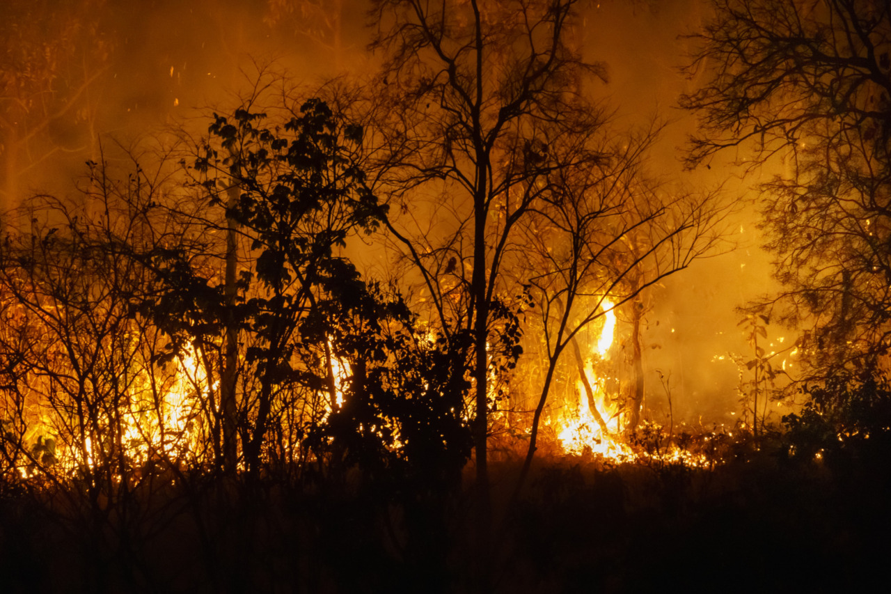 Emergenza incendi, l’Assessore Ciacciarelli invita a non abbassare la guardia