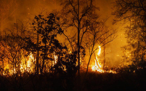 Emergenza incendi, l’Assessore Ciacciarelli invita a non abbassare la guardia