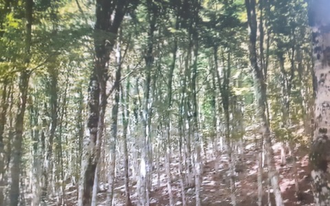 Monti Simbruini: natura, cultura e tradizioni
