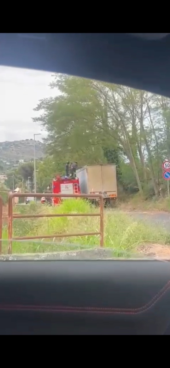 Stradone della Valle, un camion urta un grosso ramo. Intervengono Vigili del Fuoco e Polizia Locale