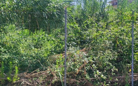Pulizia proprietà privata di vegetazione incolta. L’invito dell’Amministrazione Comunale