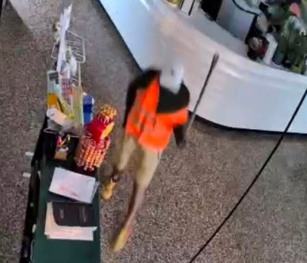 Nuovo furto al Caffè Poeta, il locale reagisce: “La cultura ci salverà”