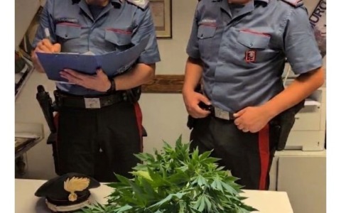 Blitz antidroga dei Carabinieri, denunciato un 51enne