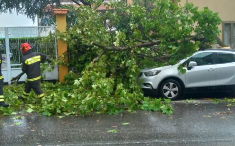 Violento nubifragio in città, allagamenti e alberi caduti