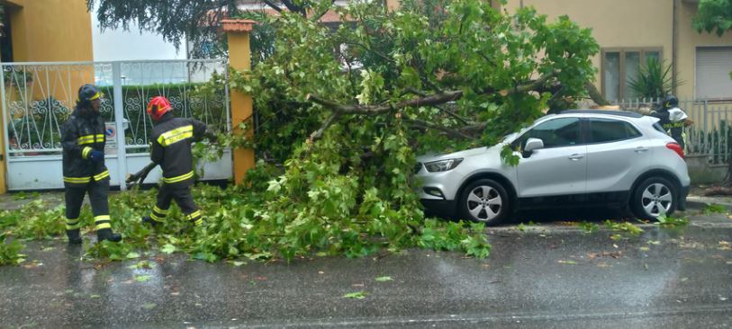 Violento nubifragio in città, allagamenti e alberi caduti