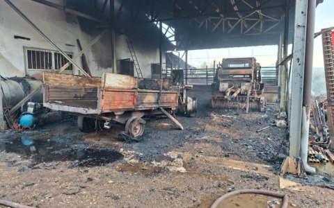 Incendio in un’azienda agricola: morti 13 bovini / FOTO