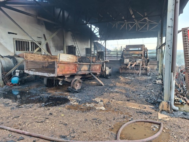 Incendio in un’azienda agricola: morti 13 bovini / FOTO