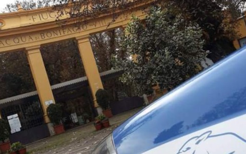 Lite tra pastori, denunciato un uomo di 37 anni