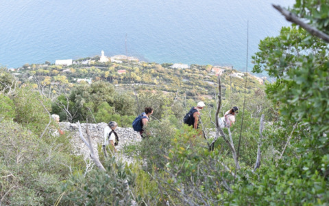 Secondo appuntamento con le Passeggiate Poetiche: camminata al tramonto e cinema con musica dal vivo al Faro