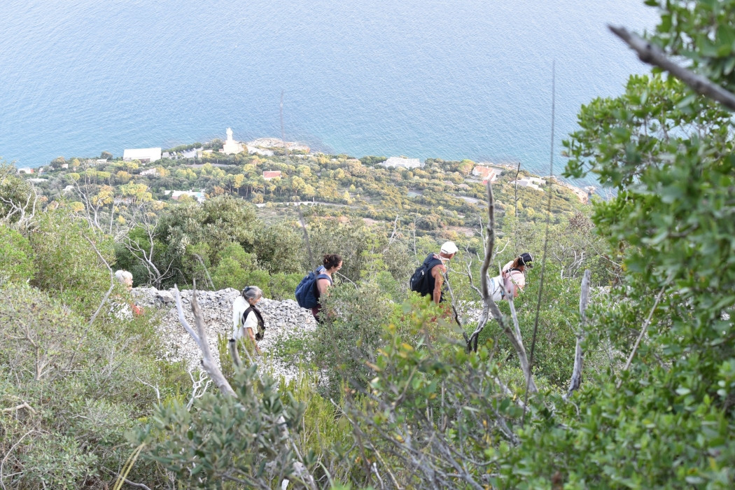 Secondo appuntamento con le Passeggiate Poetiche: camminata al tramonto e cinema con musica dal vivo al Faro