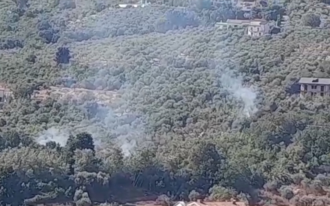 Incendio in zona Boschetto. Intervengono i Vigili del Fuoco (video)
