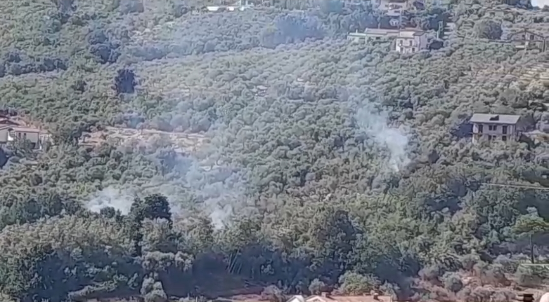 Incendio in zona Boschetto. Intervengono i Vigili del Fuoco (video)