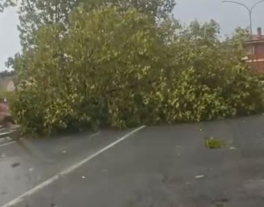 Maltempo, violento temporale ad Aprilia. Allagamenti e alberi caduti