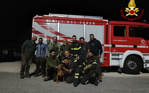 Cane finisce in un dirupo, salvato dai Vigili del Fuoco