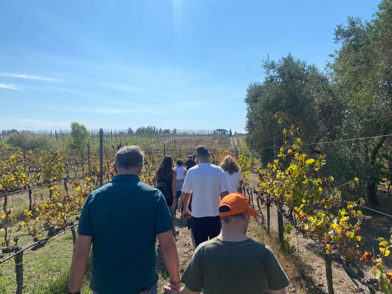 Inclusione e natura, giornata speciale in vigna per gli ospiti dei centri diurni