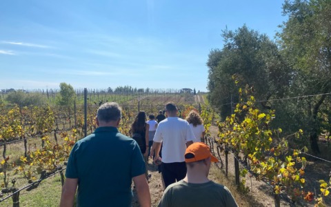 Inclusione e natura, giornata speciale in vigna per gli ospiti dei centri diurni