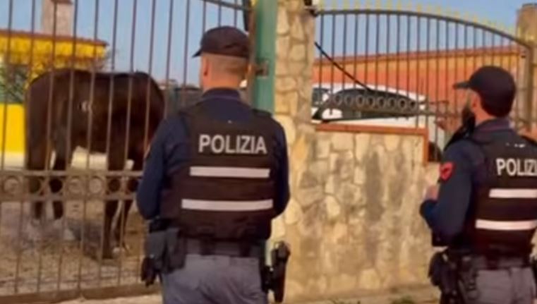 L’omicidio in viale XXIV Maggio, il pericolo di vendette e ritorsioni per la frattura nel clan Di Silvio: “Da una parte quelli di Campo Boario, dall’altra quelli del Giochetto. Sono nemici”