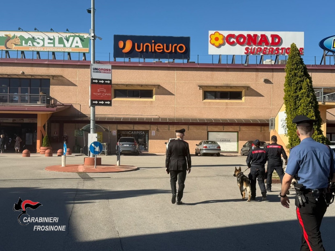 Carabinieri, controlli straordinari ad ampio raggio