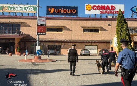 Carabinieri, controlli straordinari ad ampio raggio