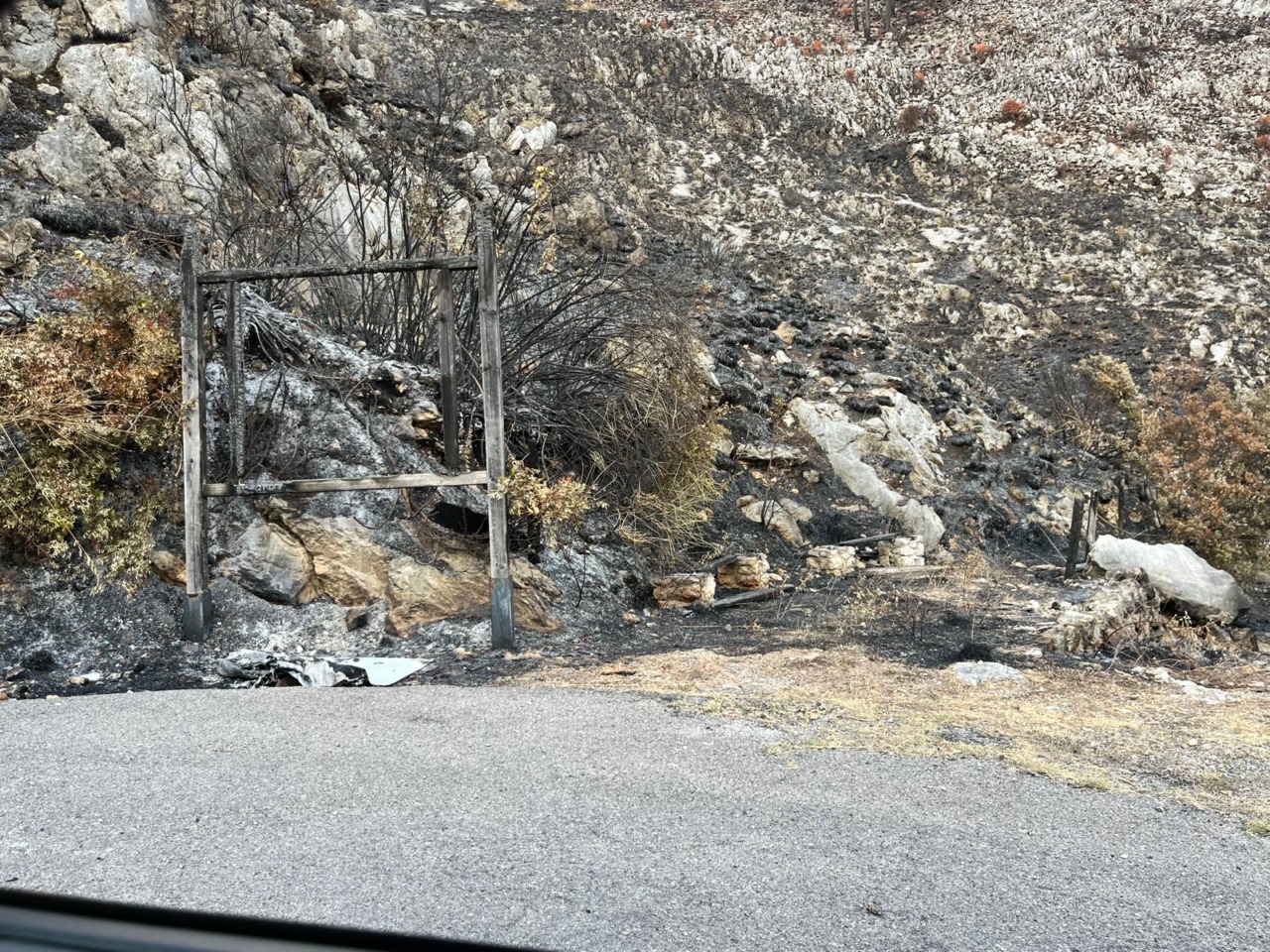 Incendi collinari e di montagna, l’intervento delle Associazioni