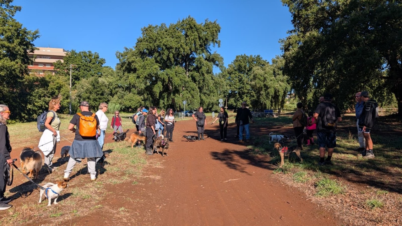 “A spasso con gli adottati”, successo per la giornata fuori dai box