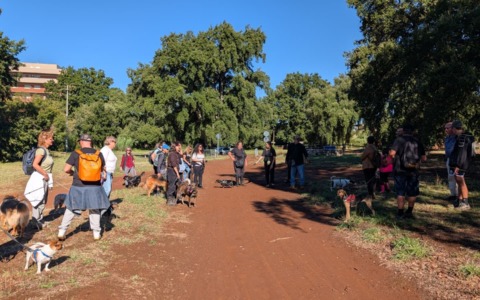 “A spasso con gli adottati”, successo per la giornata fuori dai box