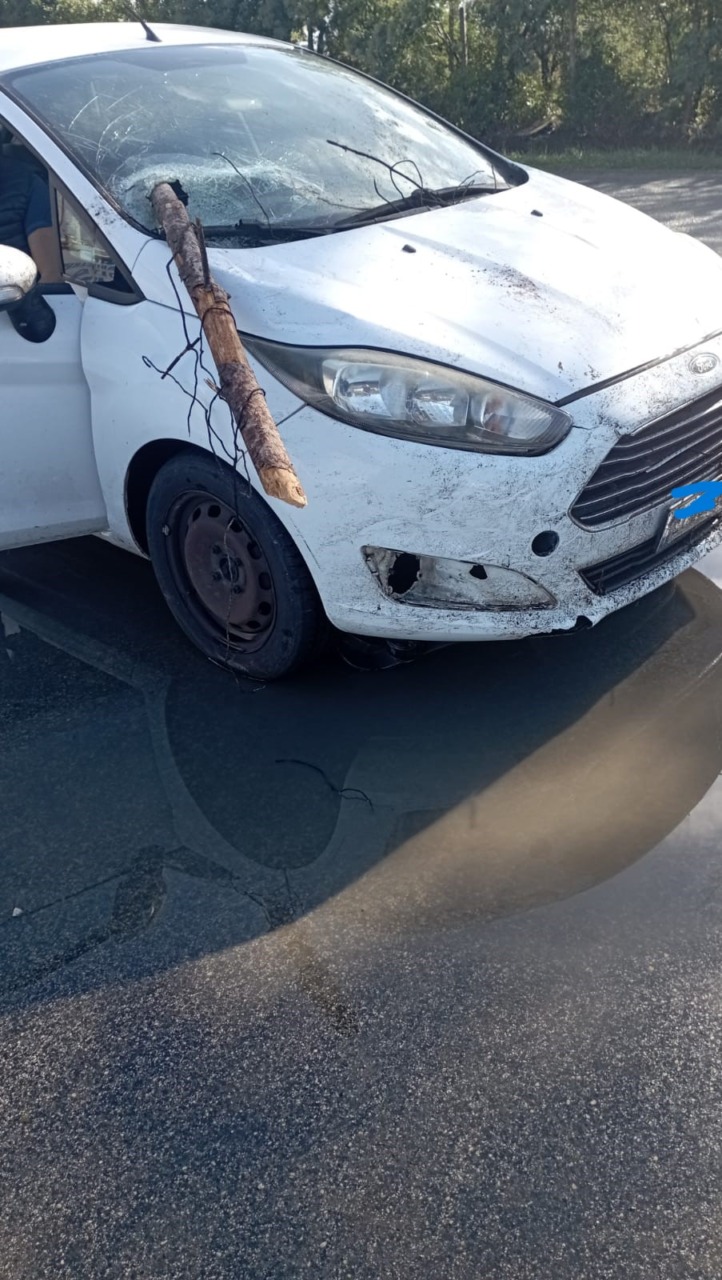 Via dei Cinque Archi, tragedia sfiorata