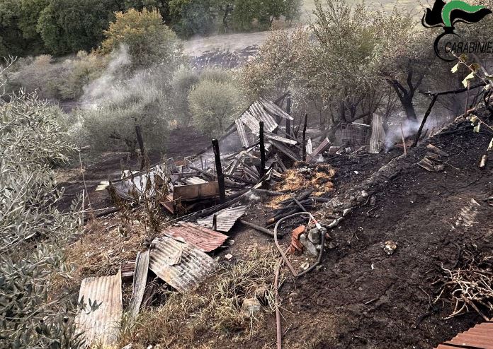 Appicca il fuoco nei campi e perde il controllo delle fiamme: una denuncia