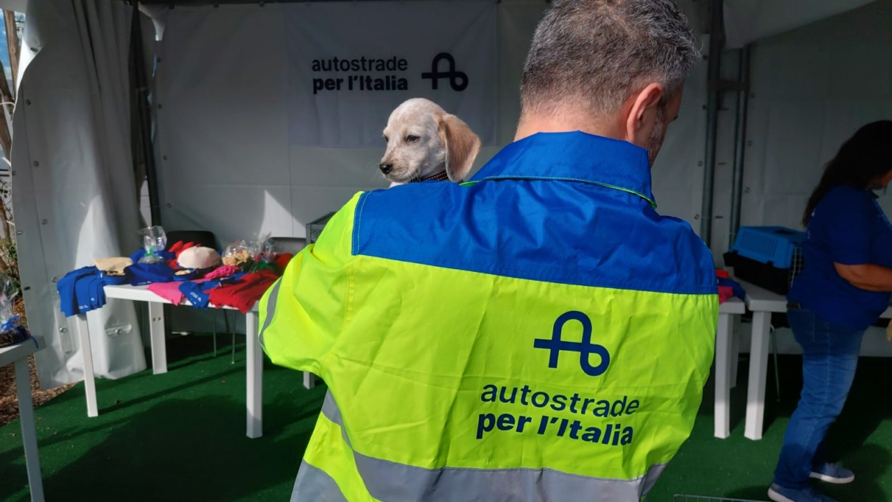 Sicurezza stradale e benessere animali, il presidio sull’A1