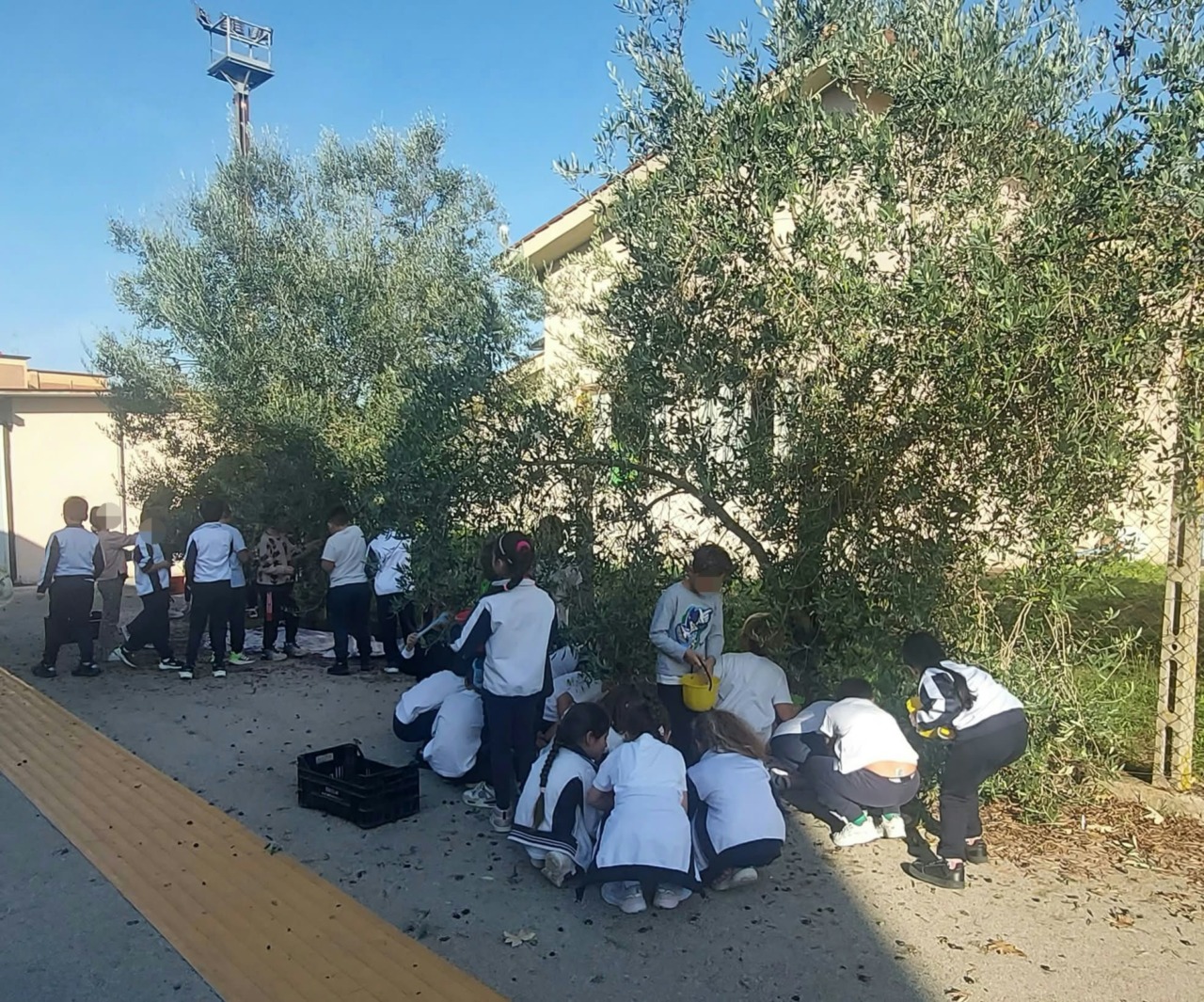 Alla Primaria di Campoverde l’olio lo fanno i bambini