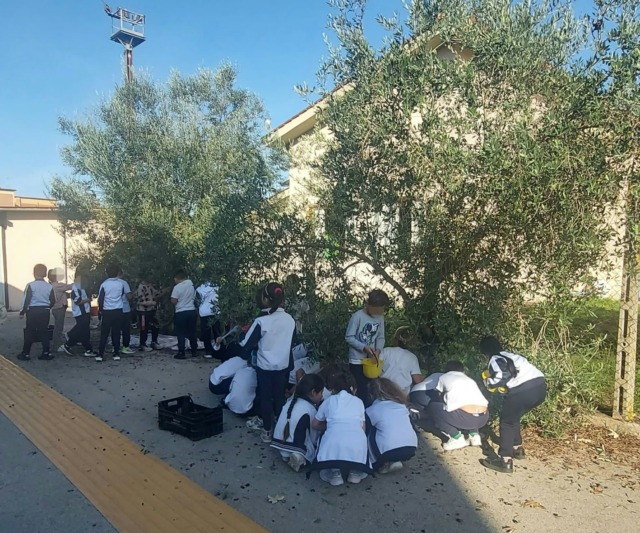 Alla Primaria di Campoverde l’olio lo fanno i bambini