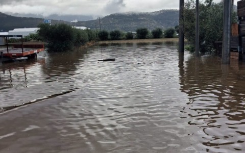 Maltempo, allagamenti e aziende agricole in ginocchio. Il sindaco: “Dichiarato lo stato di calamità”