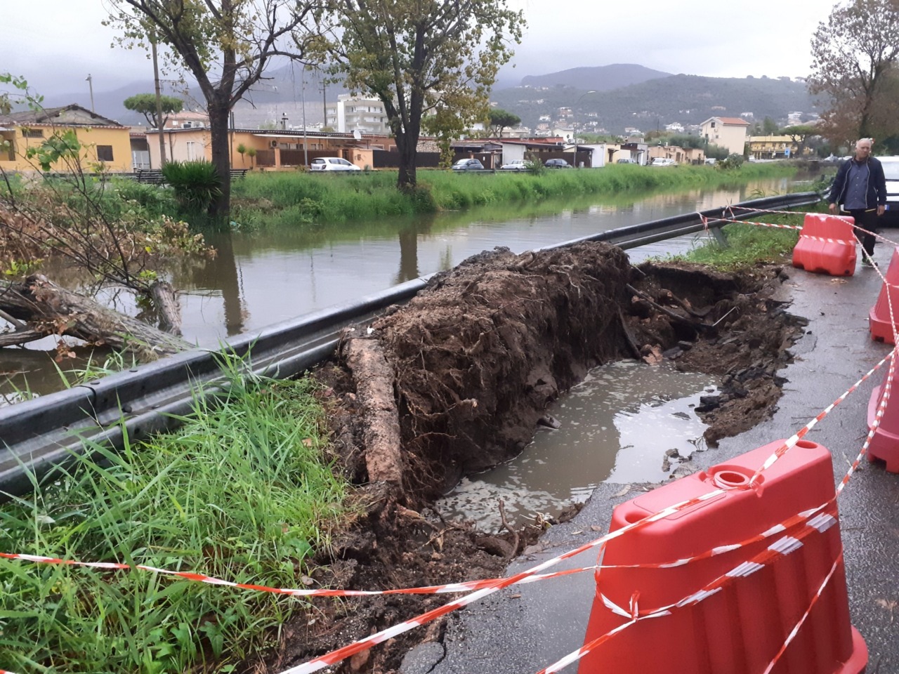Maltempo, cade albero di grosso fusto in Via Mortacino