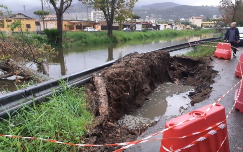 Maltempo, cade albero di grosso fusto in Via Mortacino