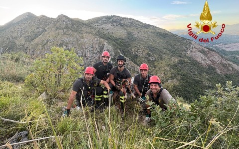 Salvato un cane finito in un dirupo a più di 200 metri di profondità