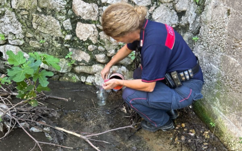Sversamento illecito nel torrente Rio Fresco, denunciato il legale di Acqualatina